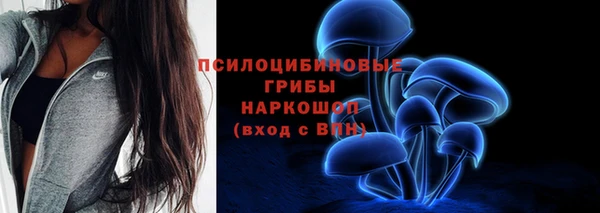 соль ск Балахна