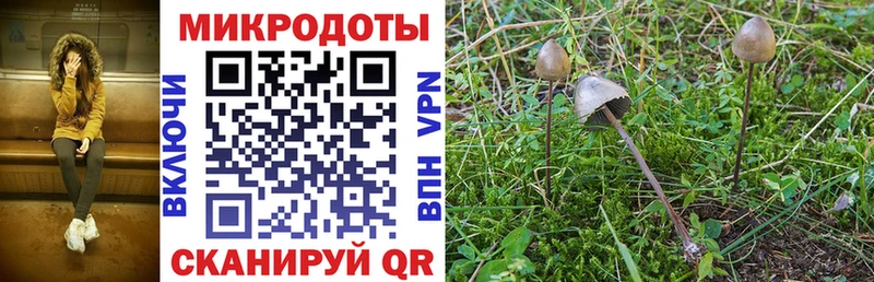 Галлюциногенные грибы Magic Shrooms  купить наркотики цена  Сусуман 